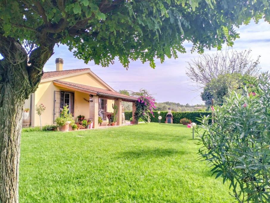 Villetta Rio, Large Private Garden Cecina (Livorno) Eksteriør billede