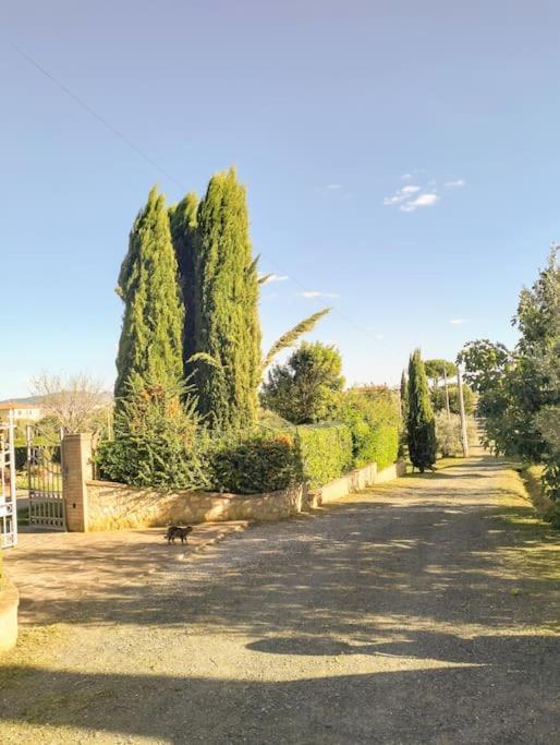 Villetta Rio, Large Private Garden Cecina (Livorno) Eksteriør billede